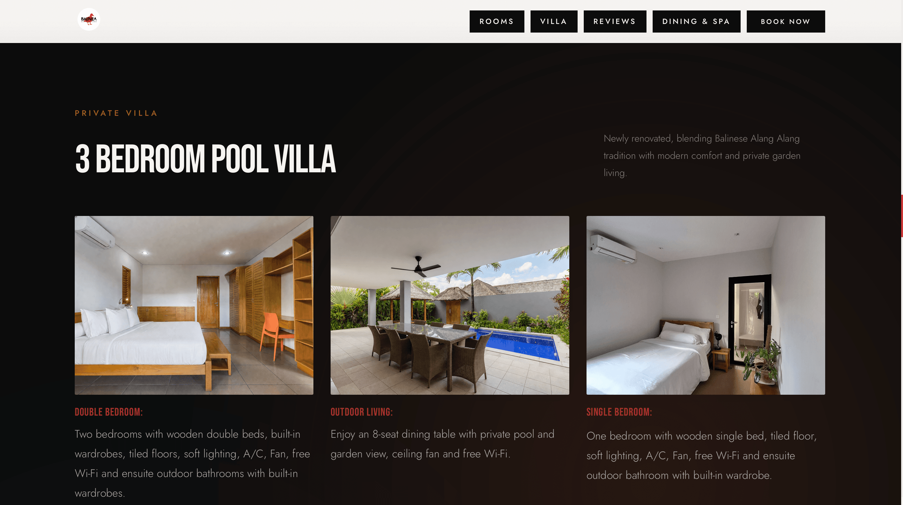 Website project 4